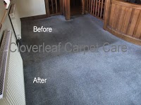 Cloverleaf Carpet Care 360502 Image 4